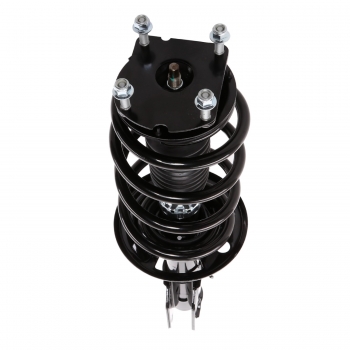 Suspension Strut and Coil Spring Assembly