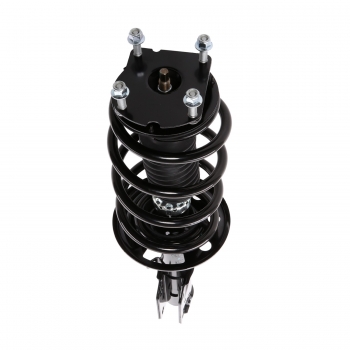 Suspension Strut and Coil Spring Assembly