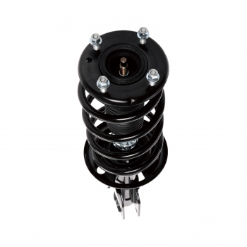 Suspension Strut and Coil Spring Assembly