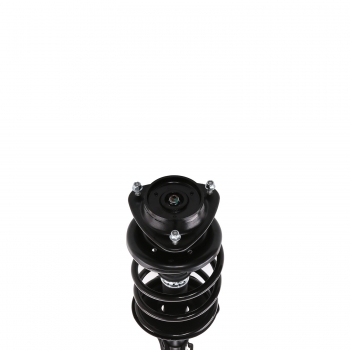 Suspension Strut and Coil Spring Assembly