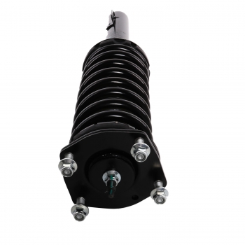 Suspension Strut and Coil Spring Assembly