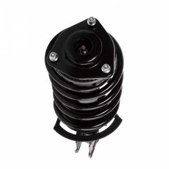 Suspension Strut and Coil Spring Assembly