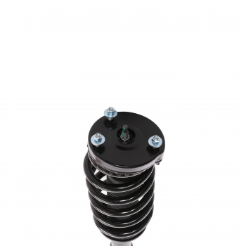 Suspension Strut and Coil Spring Assembly