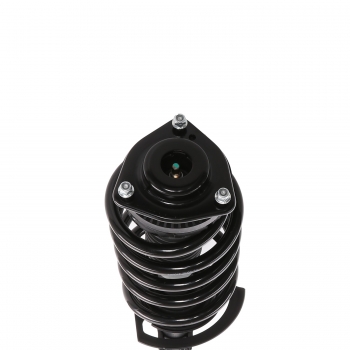 Suspension Strut and Coil Spring Assembly