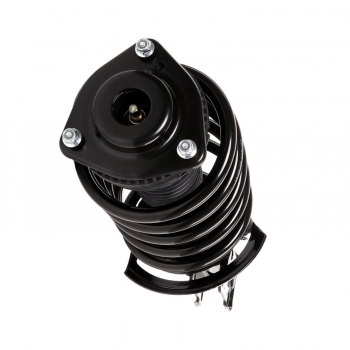 Suspension Strut and Coil Spring Assembly