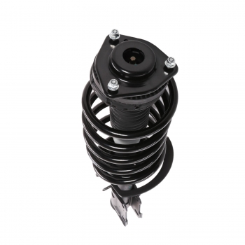 Suspension Strut and Coil Spring Assembly