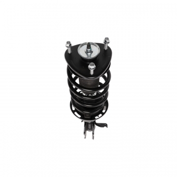 Suspension Strut and Coil Spring Assembly