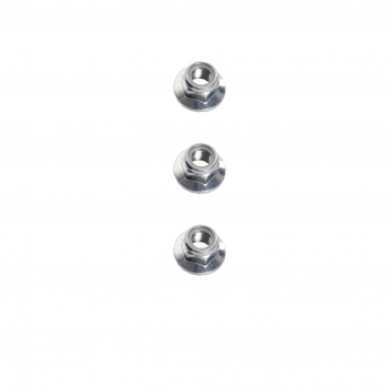 Suspension Strut and Coil Spring Assembly