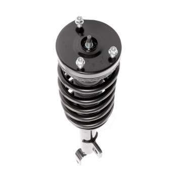 Suspension Strut and Coil Spring Assembly