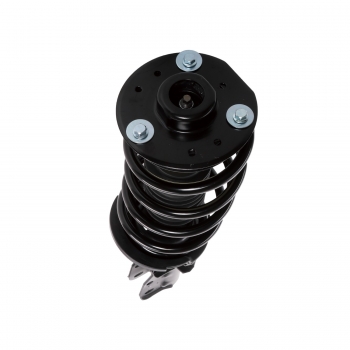 Suspension Strut and Coil Spring Assembly