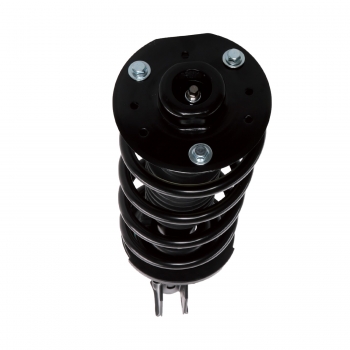 Suspension Strut and Coil Spring Assembly