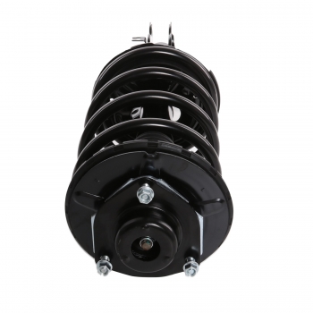 Suspension Strut and Coil Spring Assembly