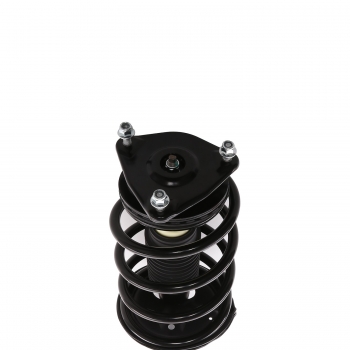 Suspension Strut and Coil Spring Assembly