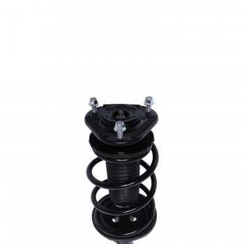 Suspension Strut and Coil Spring Assembly