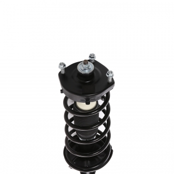 Suspension Strut and Coil Spring Assembly