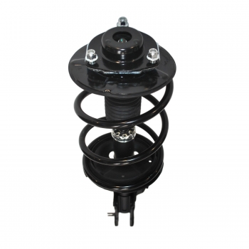Suspension Strut and Coil Spring Assembly