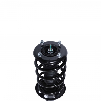 Suspension Strut and Coil Spring Assembly