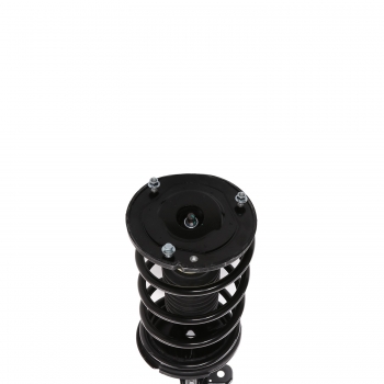 Suspension Strut and Coil Spring Assembly