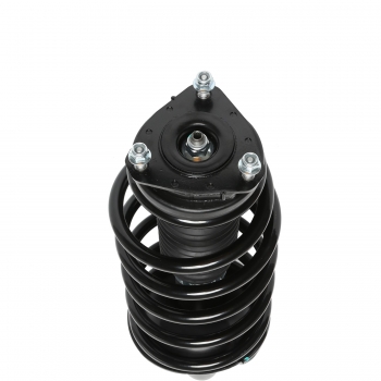 Suspension Strut and Coil Spring Assembly