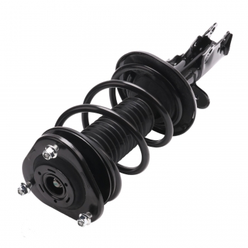 Suspension Strut and Coil Spring Assembly