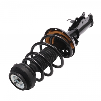 Suspension Strut and Coil Spring Assembly