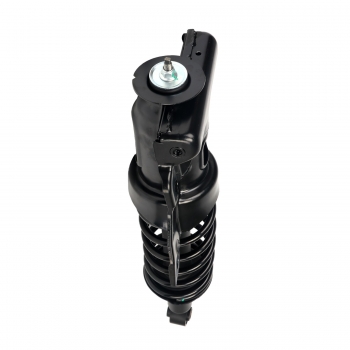 Suspension Strut and Coil Spring Assembly