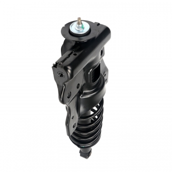 Suspension Strut and Coil Spring Assembly