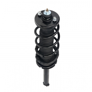 Suspension Strut and Coil Spring Assembly