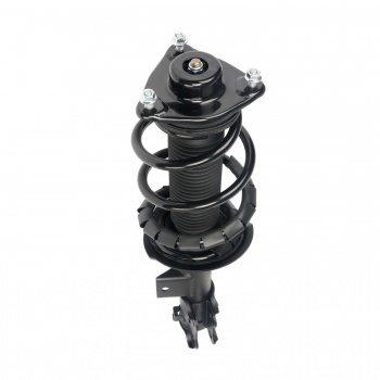 Suspension Strut and Coil Spring Assembly