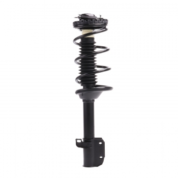 Suspension Strut and Coil Spring Assembly