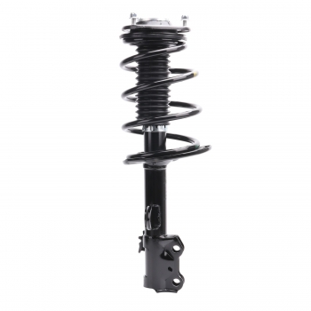 Suspension Strut and Coil Spring Assembly