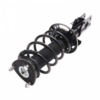 Suspension Strut and Coil Spring Assembly
