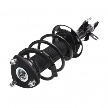 Suspension Strut and Coil Spring Assembly
