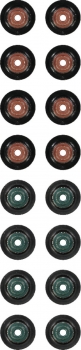 Engine Valve Stem Oil Seal Set