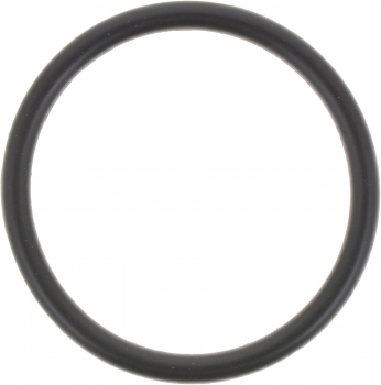 Distributor O-Ring