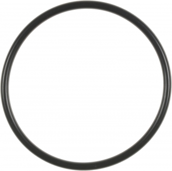 Engine Oil Filter Adapter Gasket