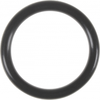 Engine Coolant Outlet Gasket