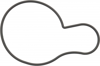 Engine Water Pump Gasket