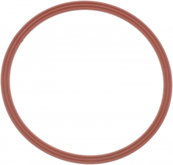 Engine Water Pump Gasket