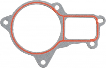Engine Water Pump Gasket