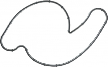 Engine Water Pump Gasket