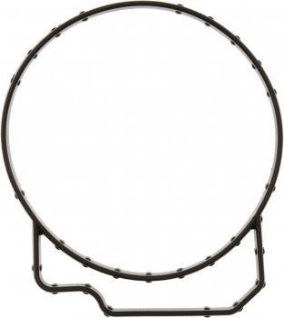 Fuel Injection Throttle Body Mounting Gasket