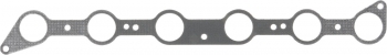 Fuel Injection Plenum Gasket