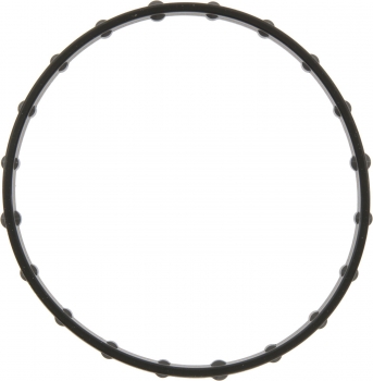 Engine Oil Filter Adapter Gasket