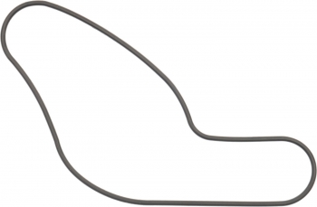 Engine Water Pump Gasket