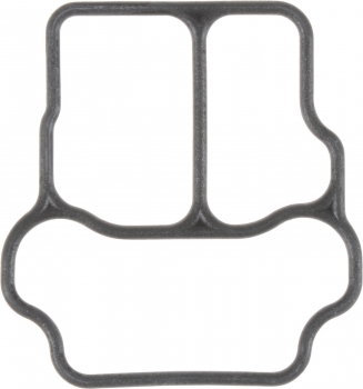 Fuel Injection Idle Air Control Valve Gasket