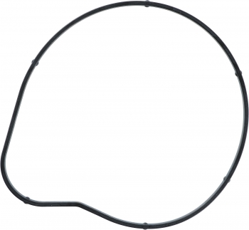 Engine Water Pump Gasket