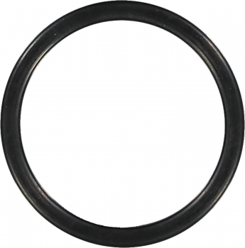 Engine Coolant Thermostat Housing Seal