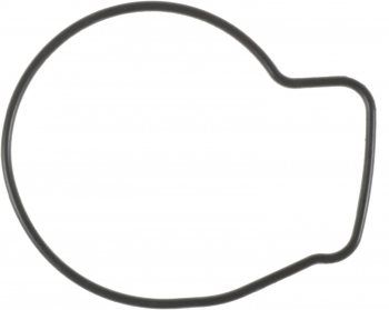 Engine Water Pump Gasket