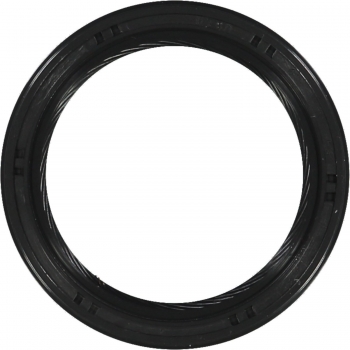 Engine Crankshaft Seal